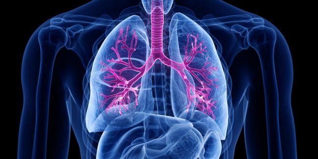 什么是慢性阻塞性肺病 (Chronic Obstructive Pulmonary Disease)，為何與新冠疫情有關(guān)？